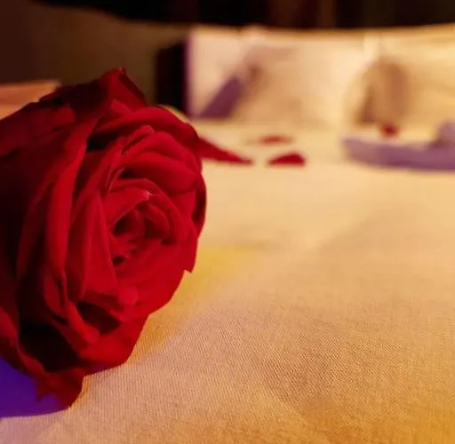 Colorroom31 - Nuit Insolite - - Tantra - (adults Only) * Rouffiac-Tolosan